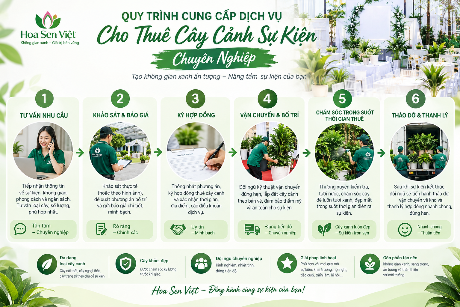 Quy Trình Cung Cấp Dịch Vụ Cho Thuê Cây Cảnh Sự Kiện Chuyên Nghiệp