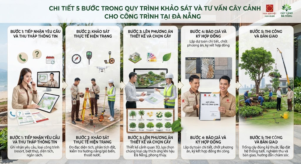 Quy Trình Khảo Sát Và Tư Vấn Cây Cảnh Cho Công Trình Tại Đà Nẵng