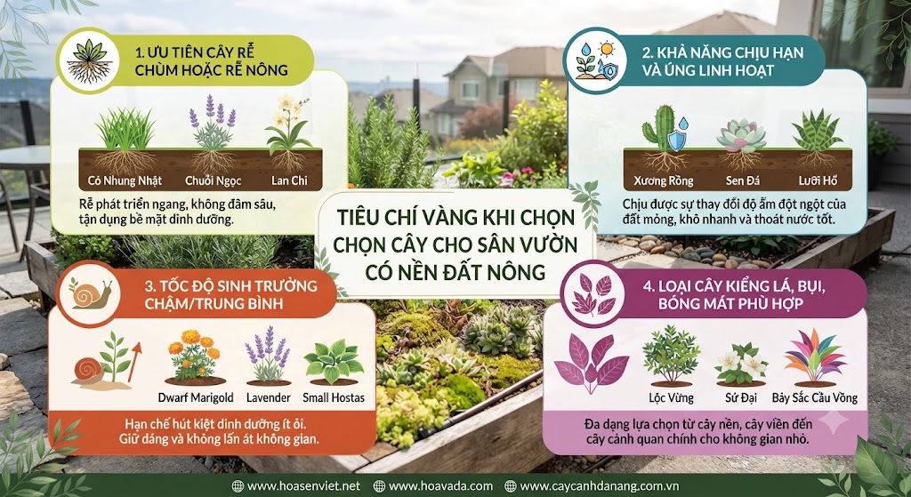 Tiêu Chí Vàng Khi Chọn Cây Cho Sân Vườn Có Nền Đất Nông